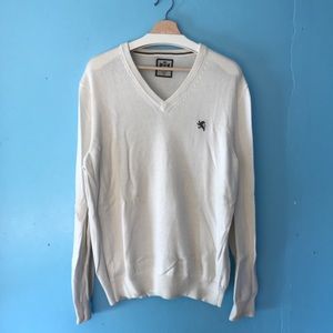 Express V-Neck Sweater